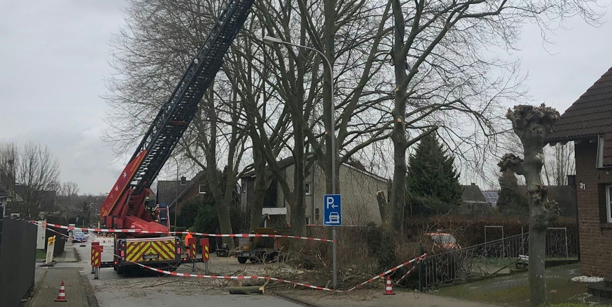 bb-Platanen-Feldstrasse-privat