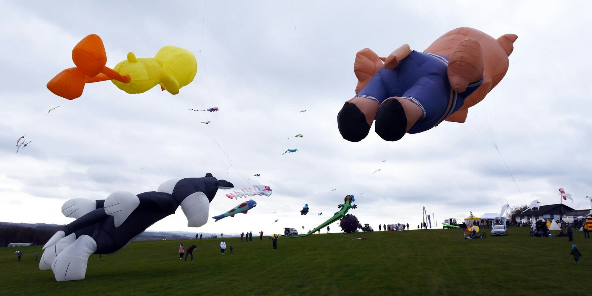 Riesige Drachen gehen in die Lüfte