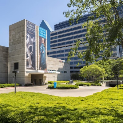 Dallas Museum of Art IMAGO