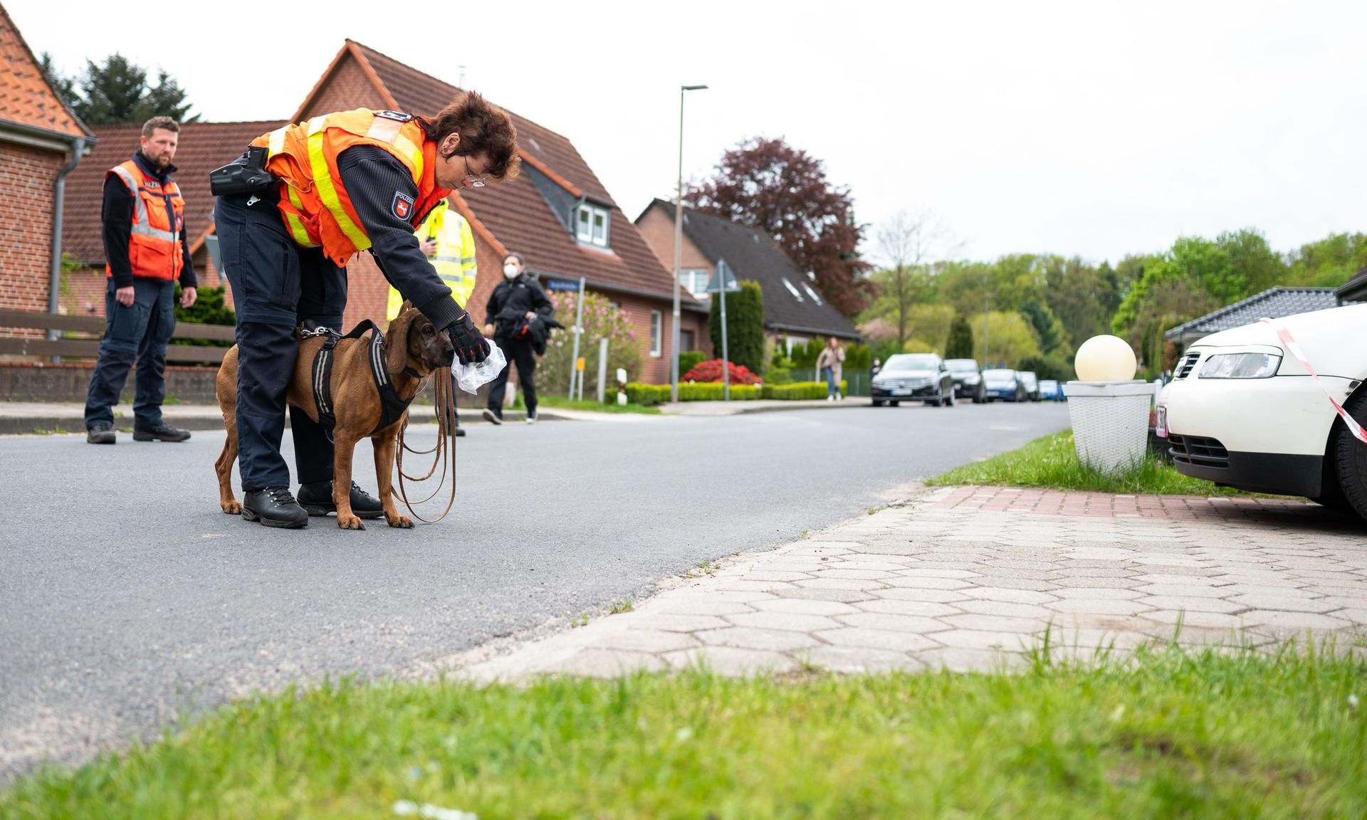 Bispingen suchhunde