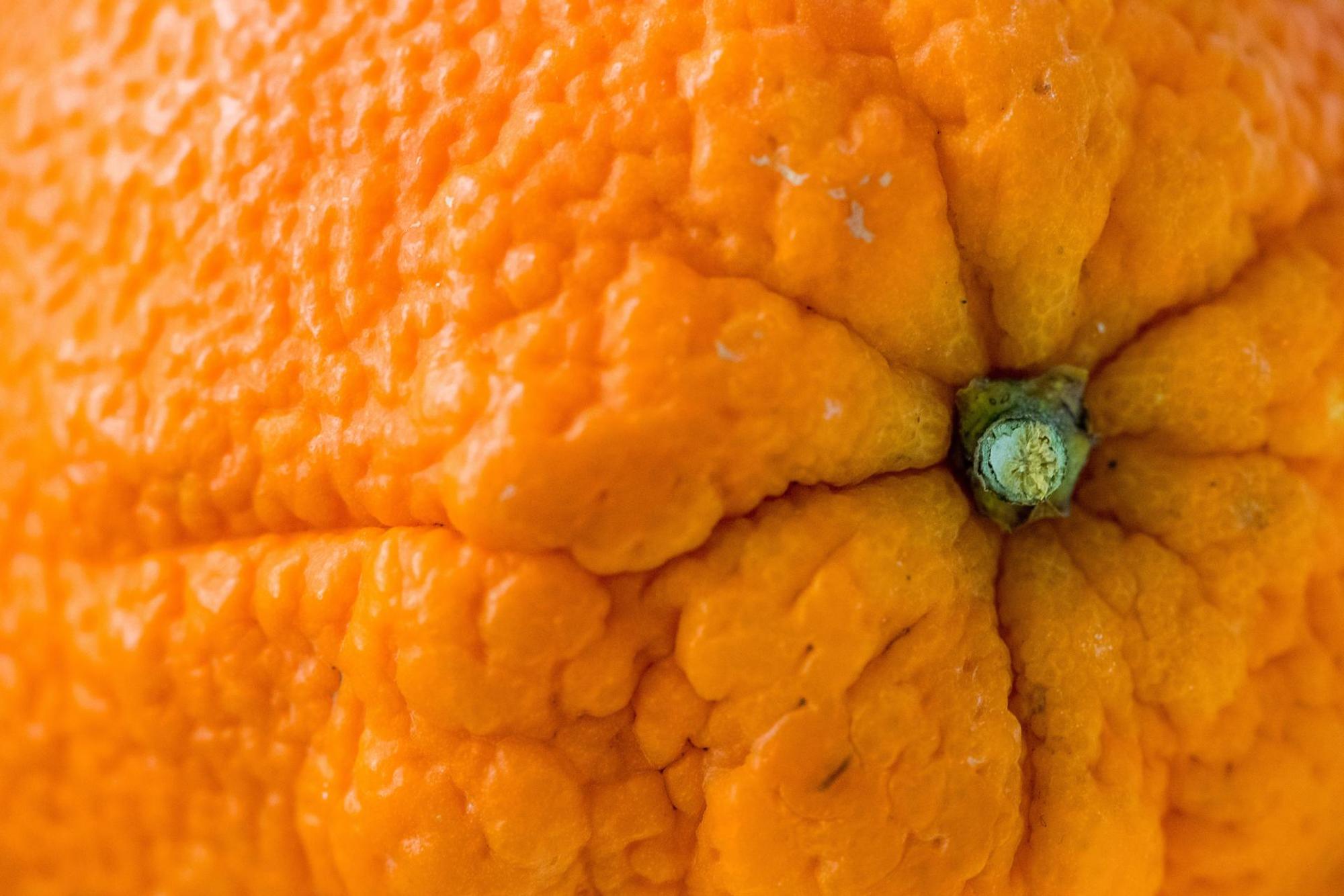 Orangenschale