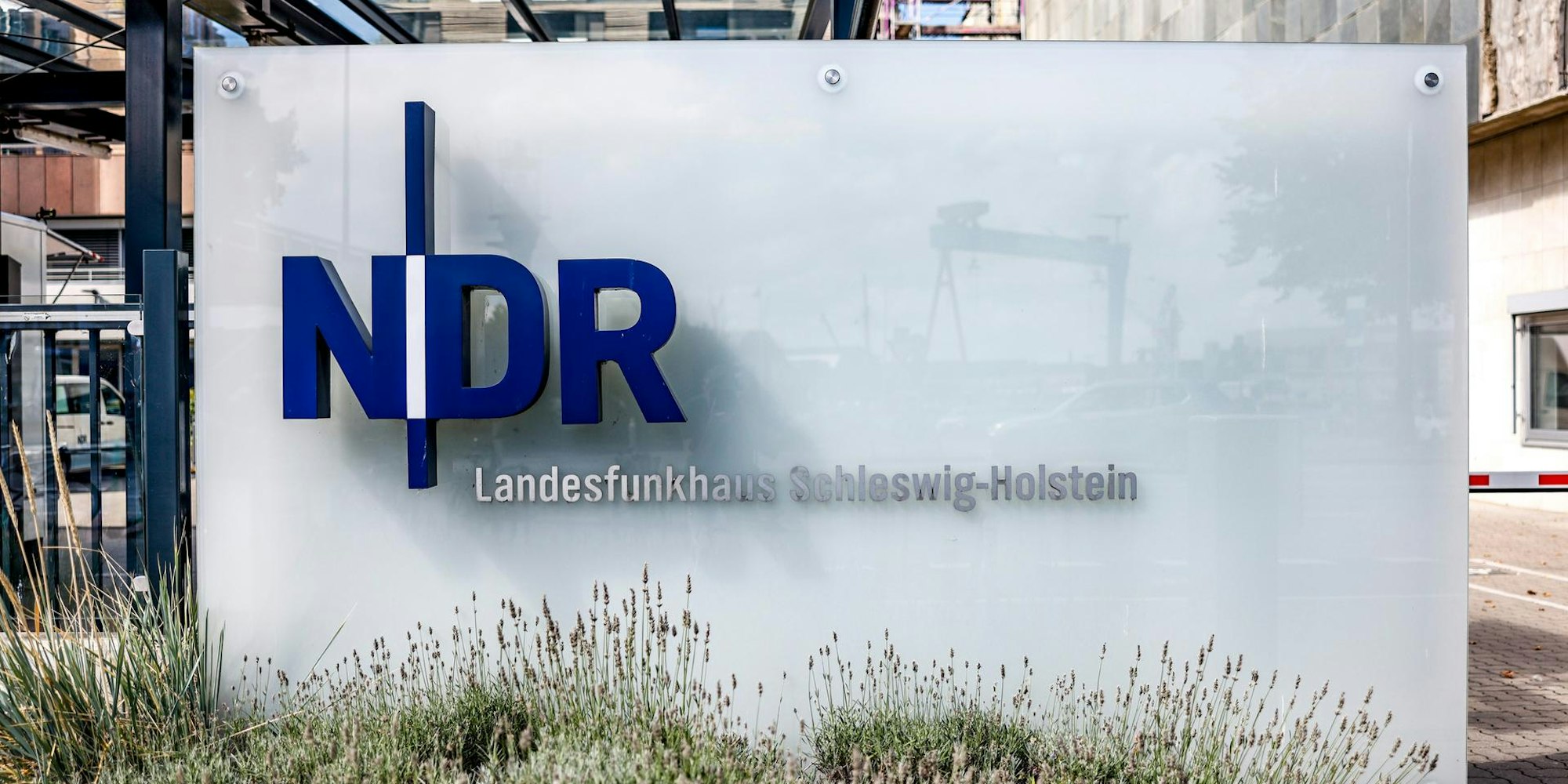 Neuer Inhalt