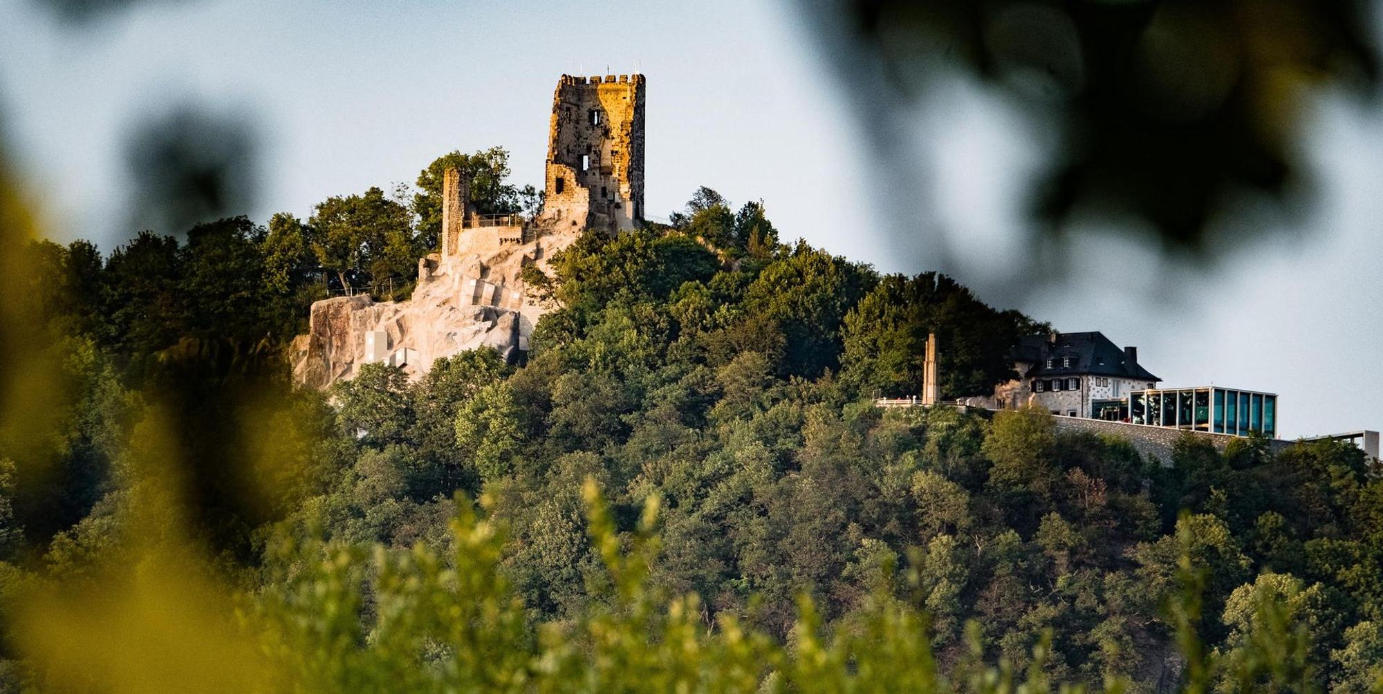Heimatcheck Drachenfels Bad Honnef