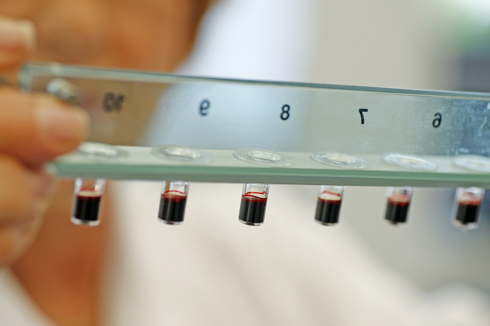 Deutscher_Zukunftspr_22532773