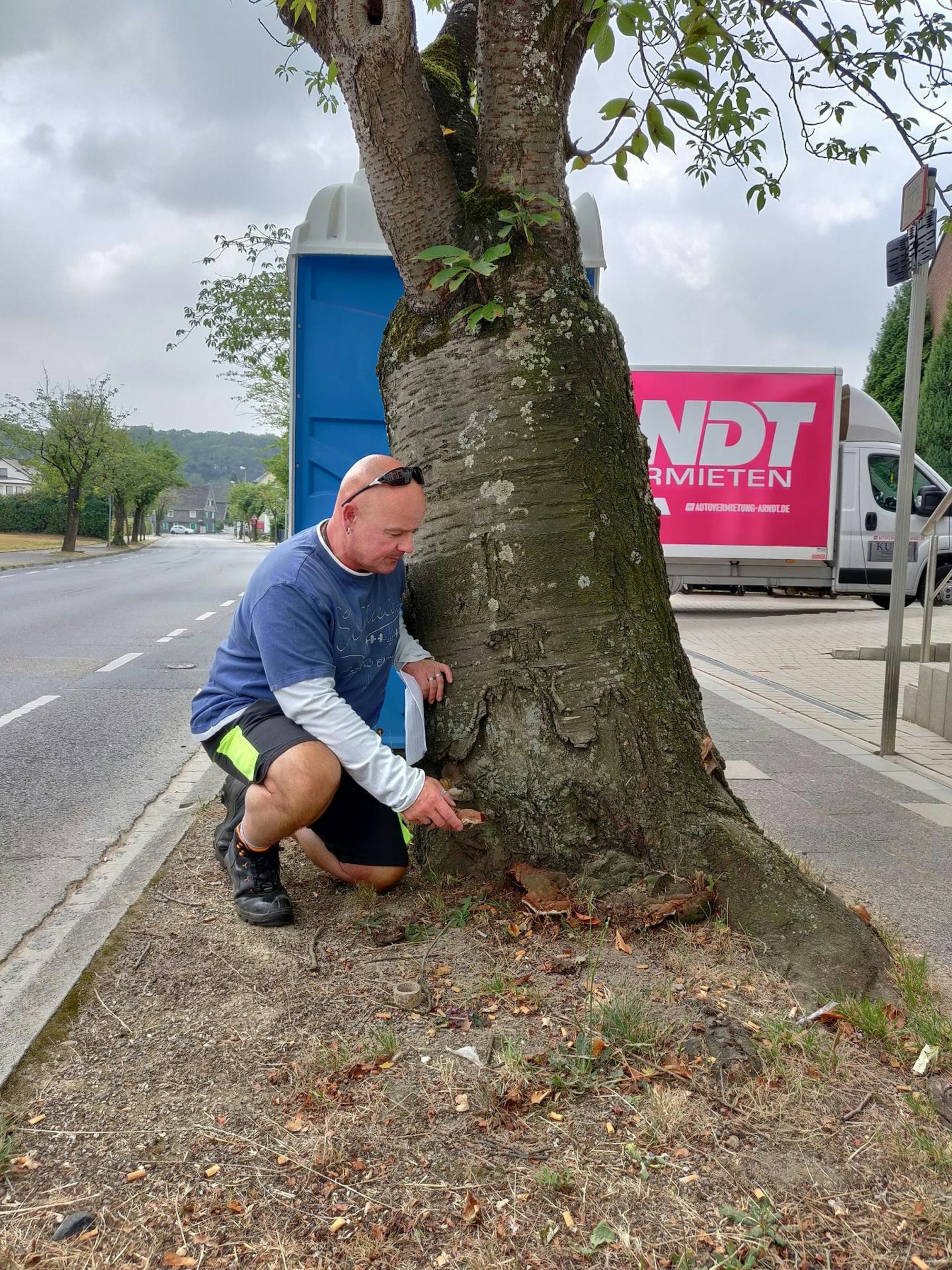 Bauhof Oliver Heidelberg (2)