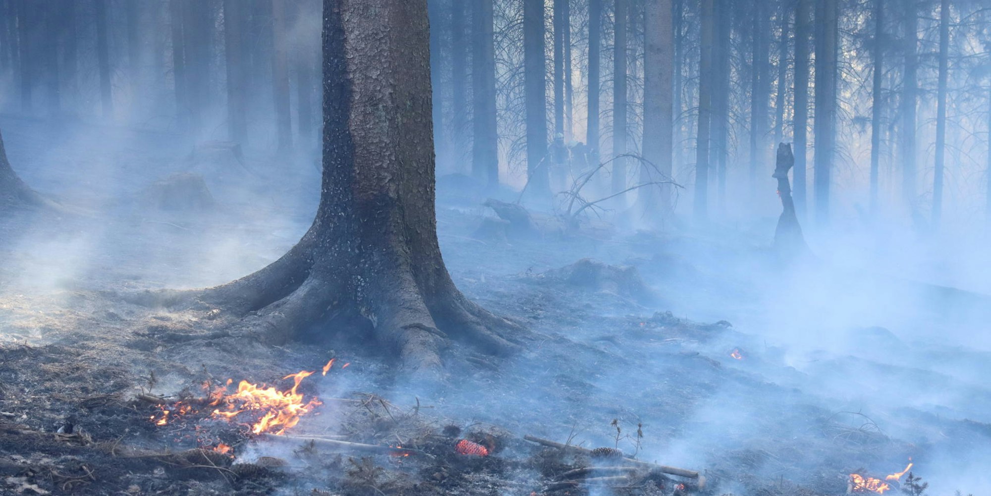 Waldbrand_Hoemerich-0362-kup