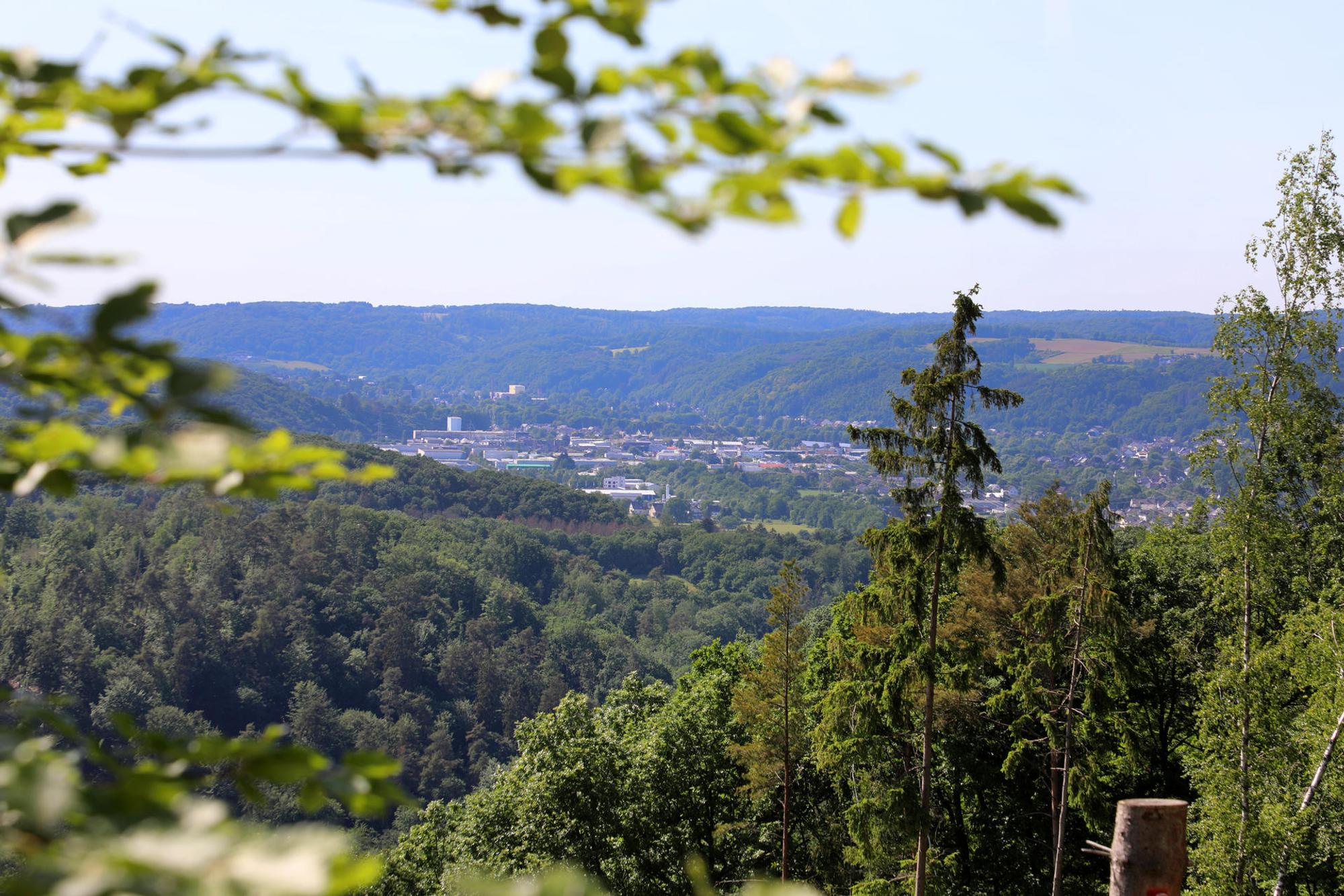 Wandertag Wald mit Blick