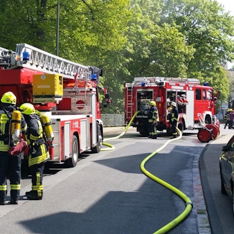 Bergischer Löwe (39)