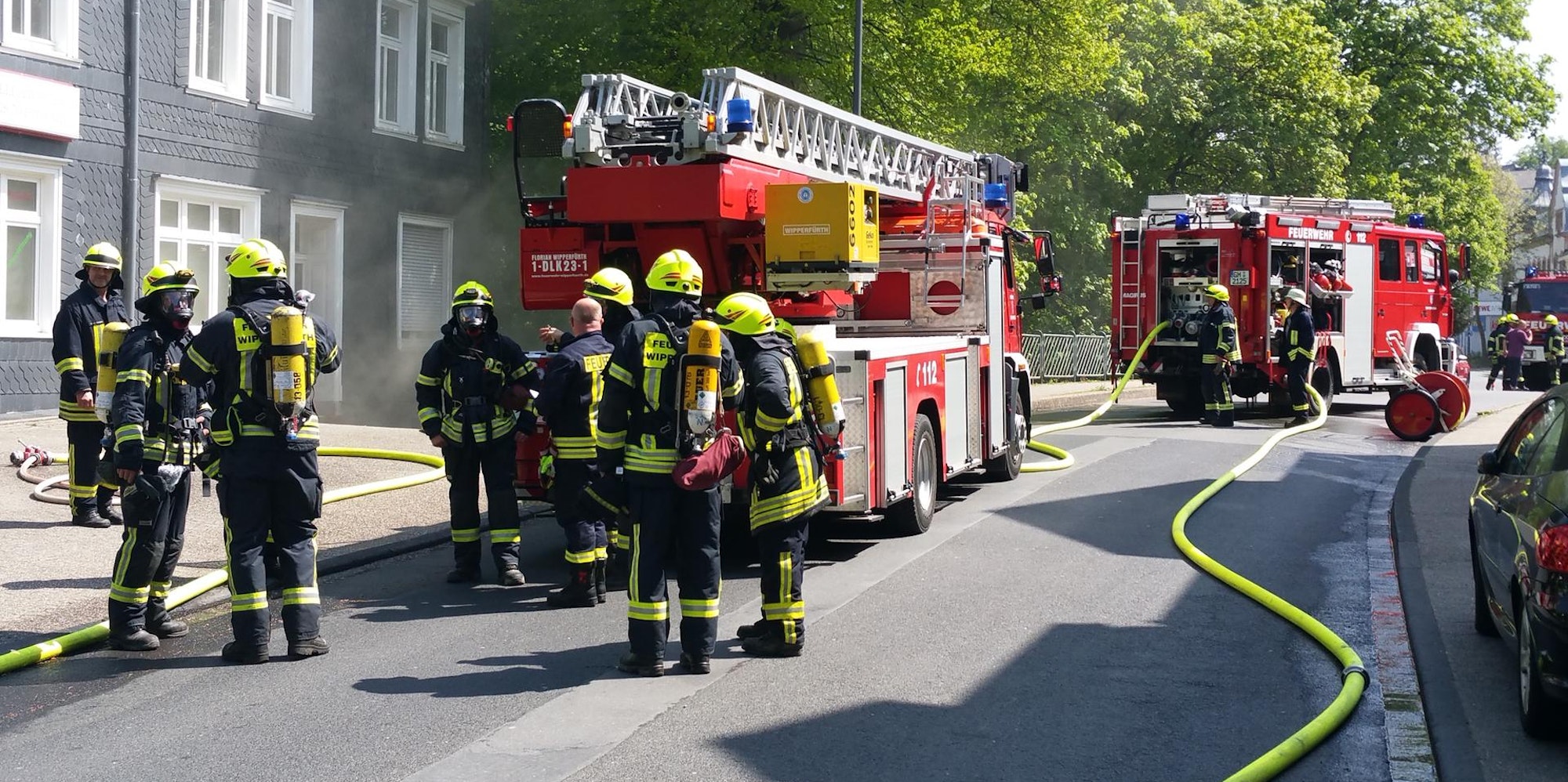 Bergischer Löwe (39)