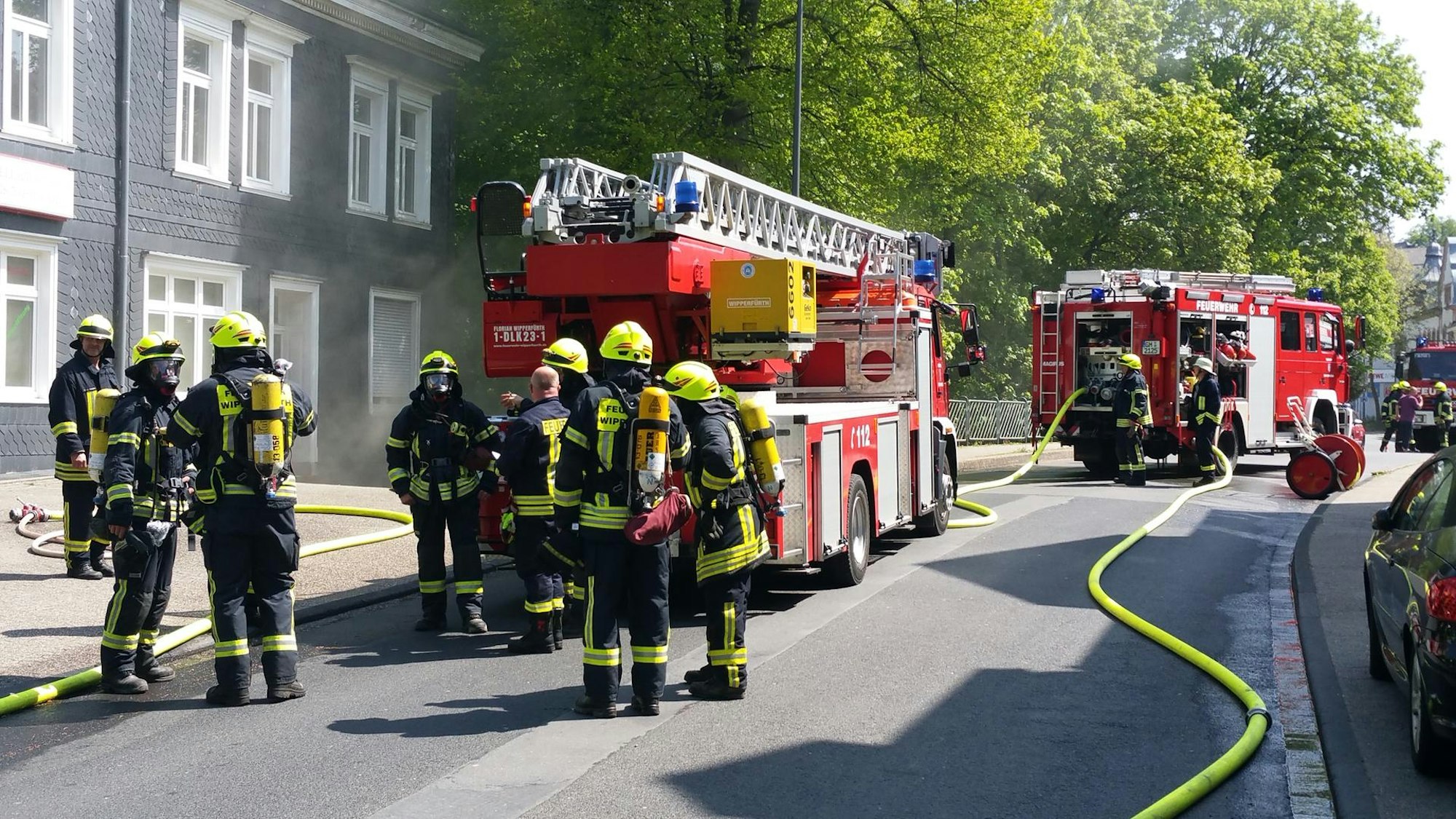 Bergischer Löwe (39)