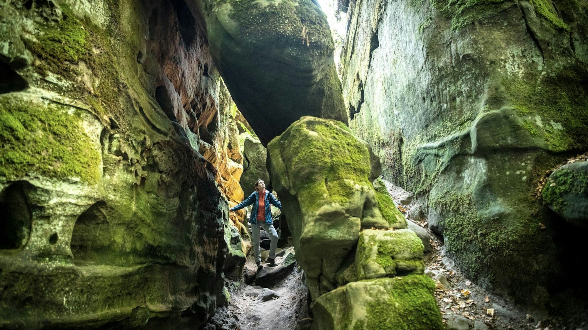 Moosbewachsene Felsen und schattige Wege