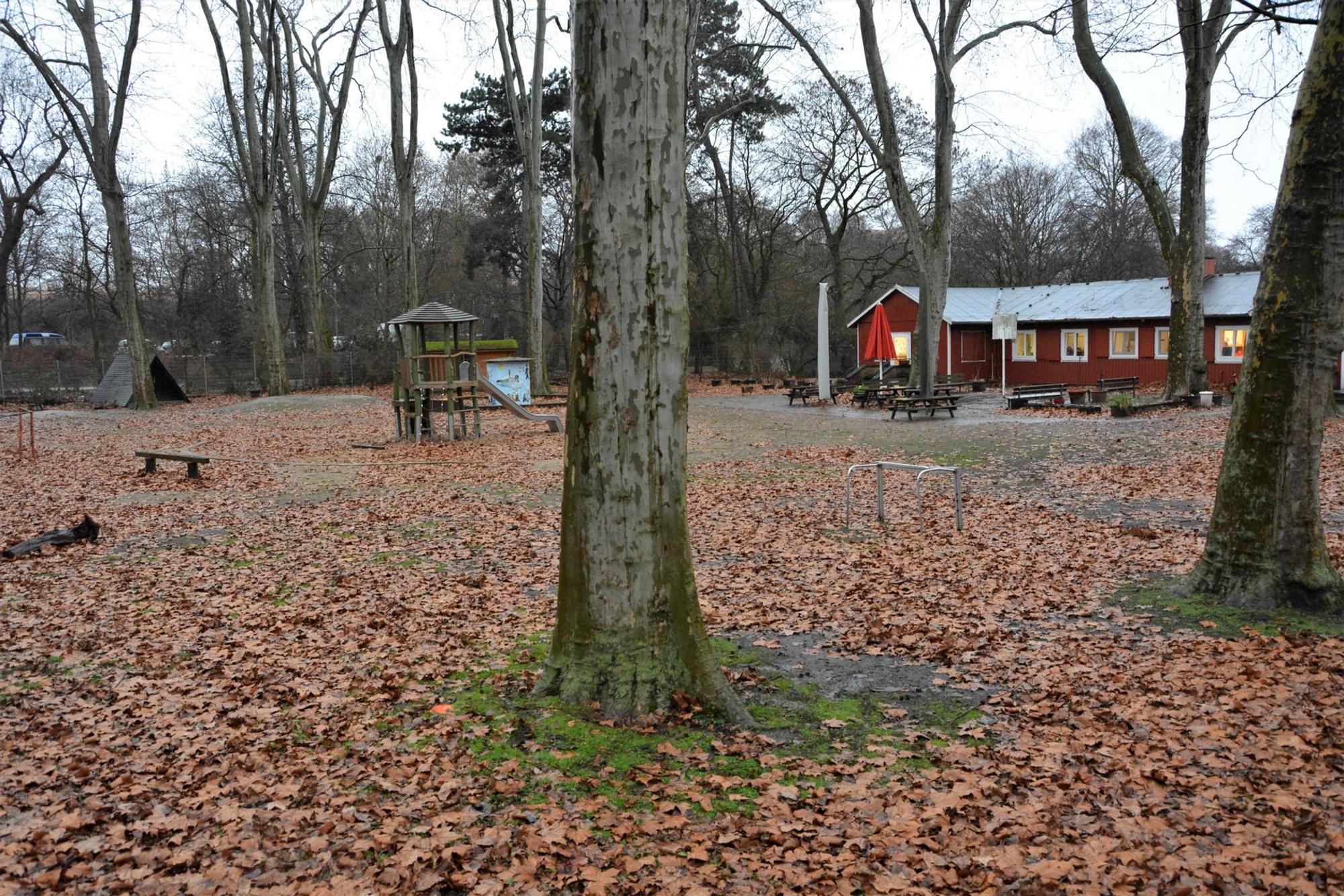 DSC_0736