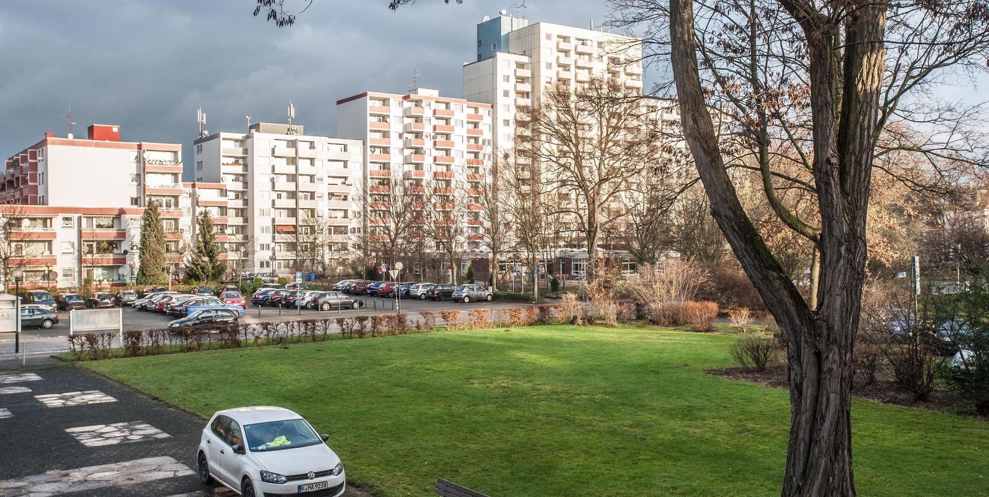 leverkusen-manfort-ALF_01032016
