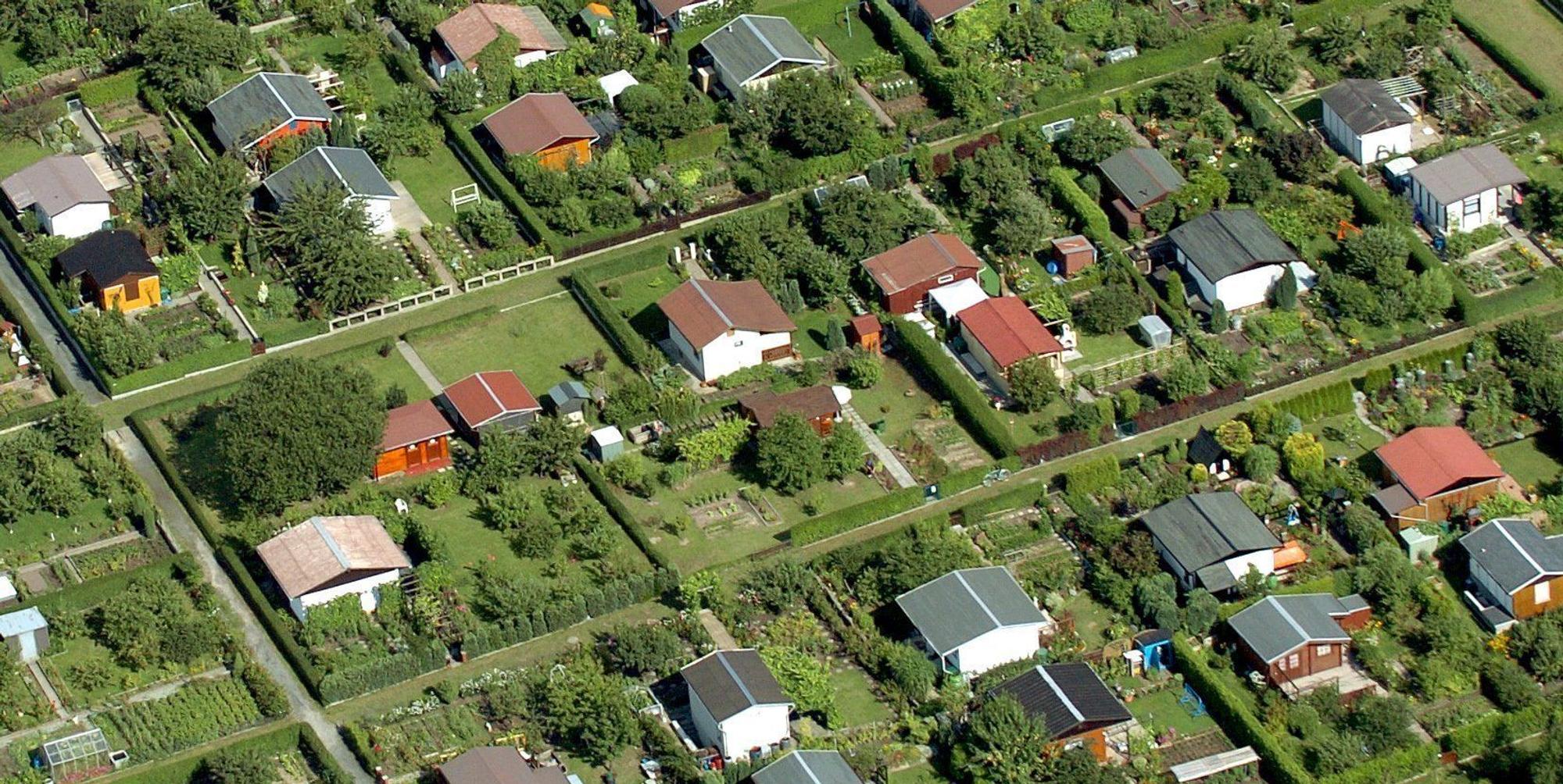 Schrebergärten