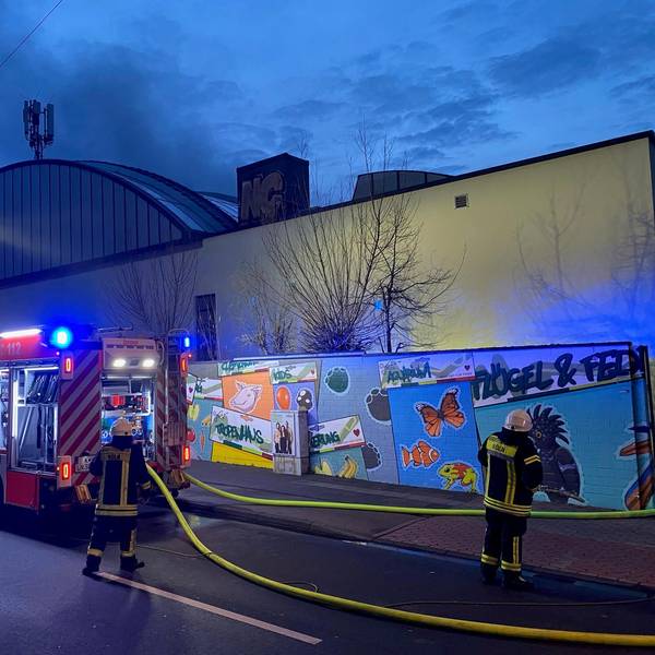 Brand im Kölner Zoo