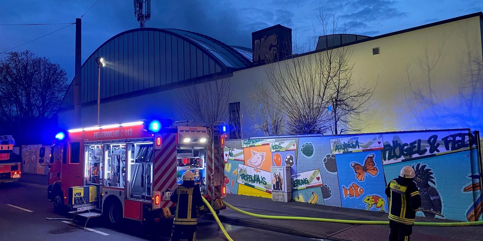 Brand im Kölner Zoo
