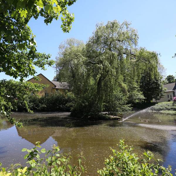 weiher_gaense_haus_schlesien_heisterbacherrott_1