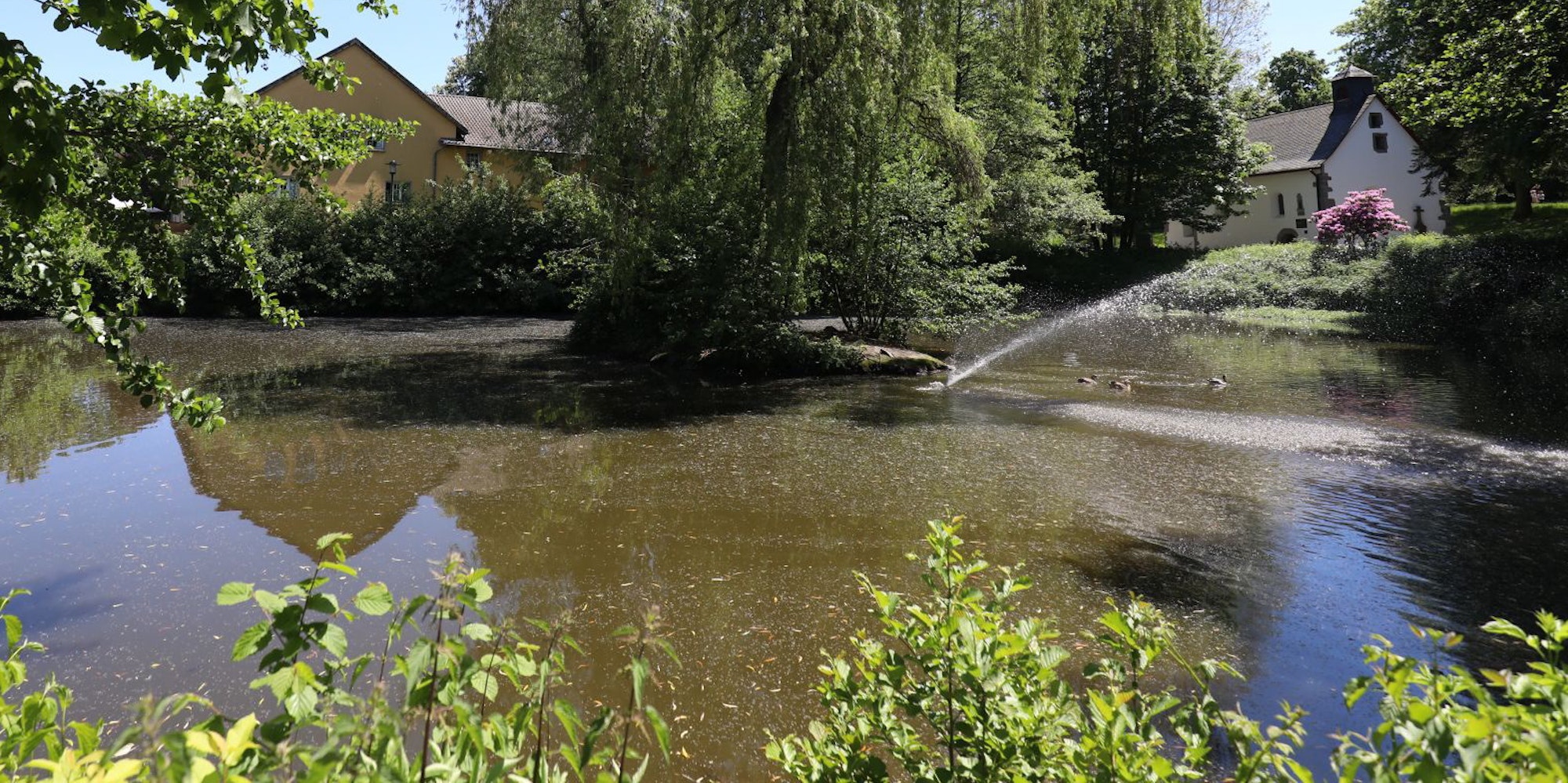 weiher_gaense_haus_schlesien_heisterbacherrott_1