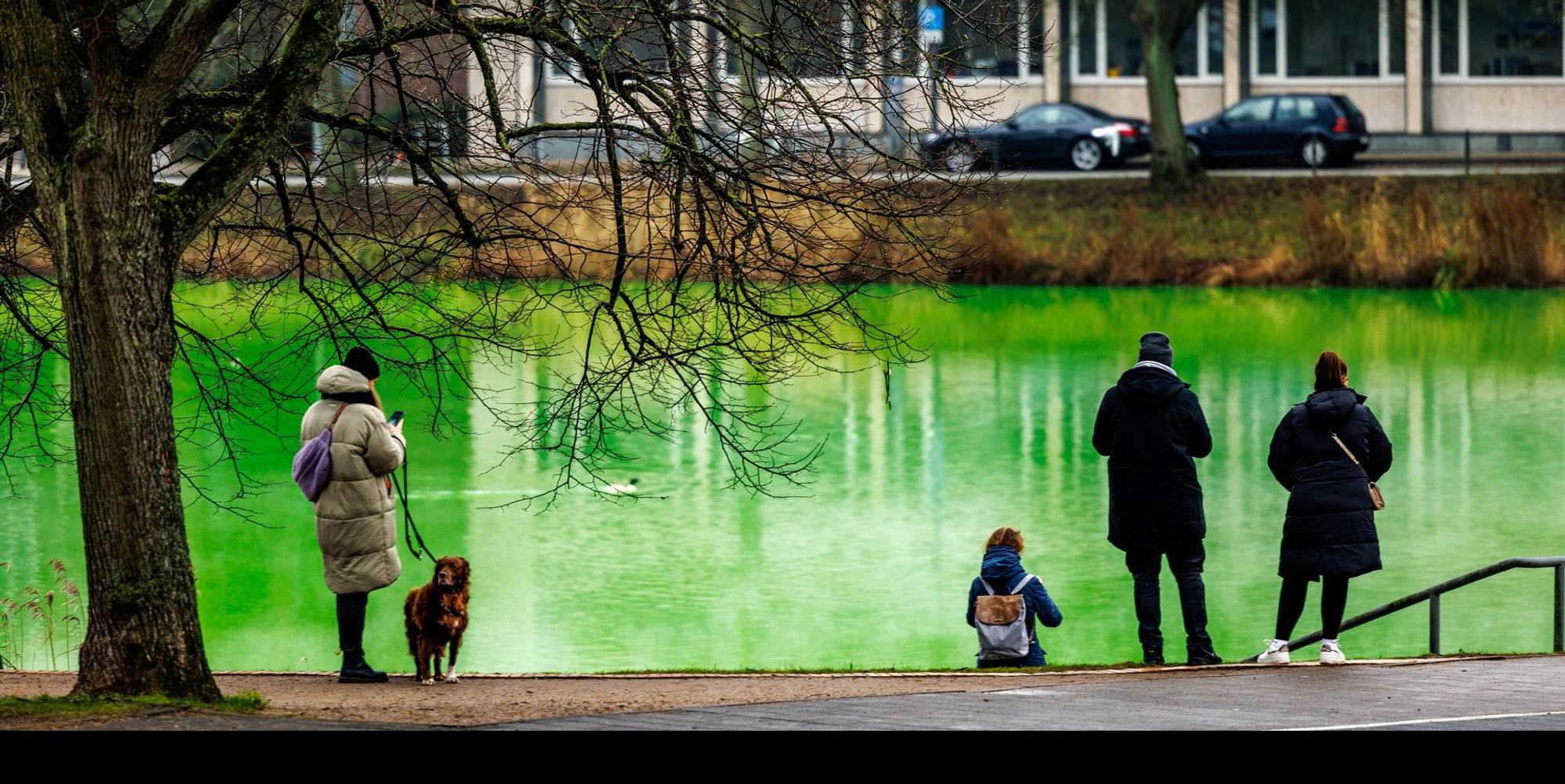 Kiel Wasser grün 1