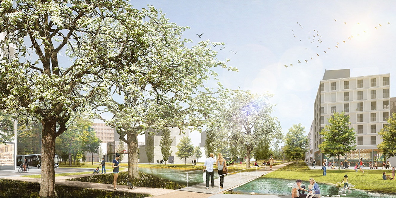 03_Kreuzfelder_StadtNatur_PERSP_2