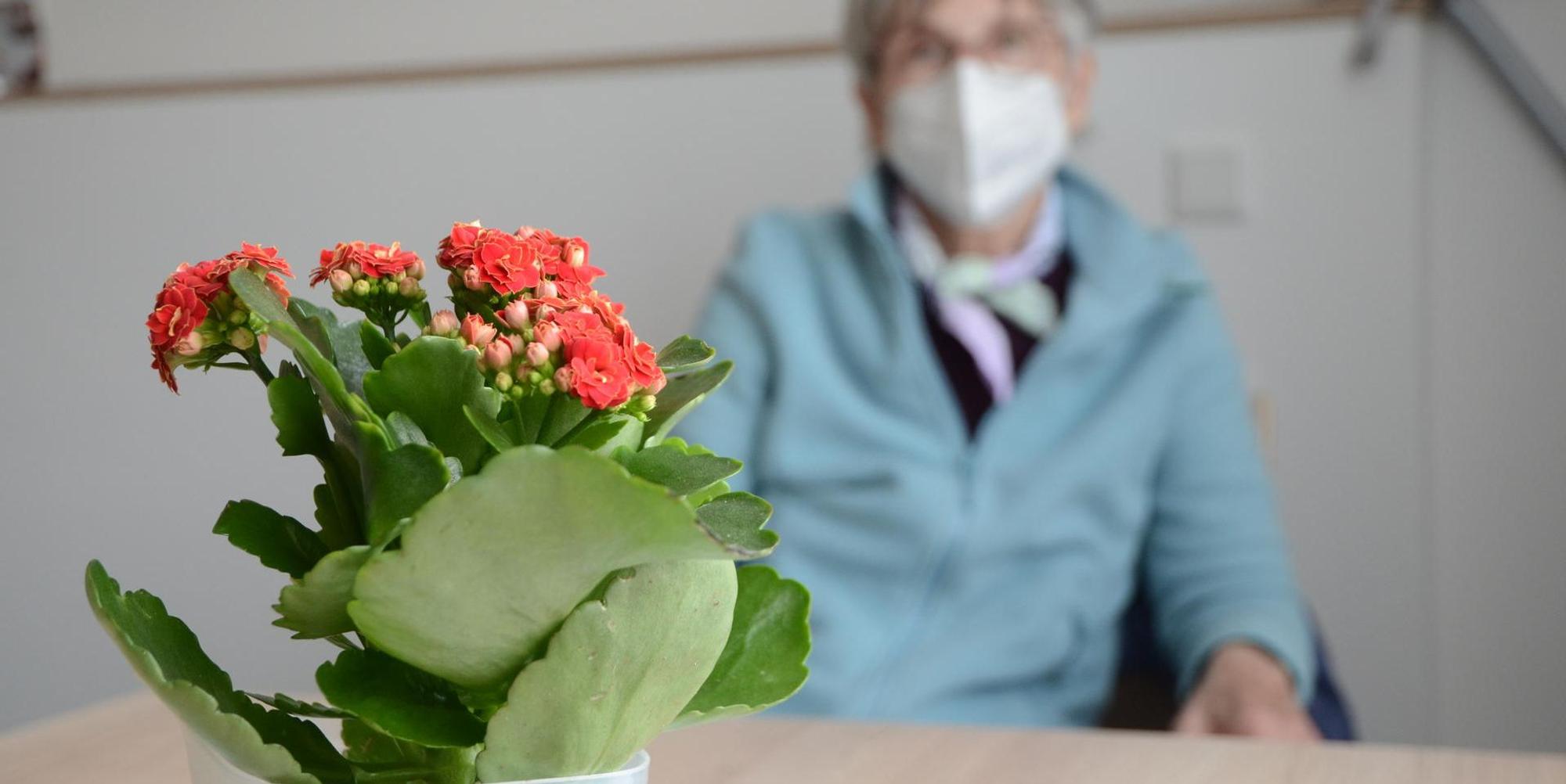 Seniorin Bad Münstereifel