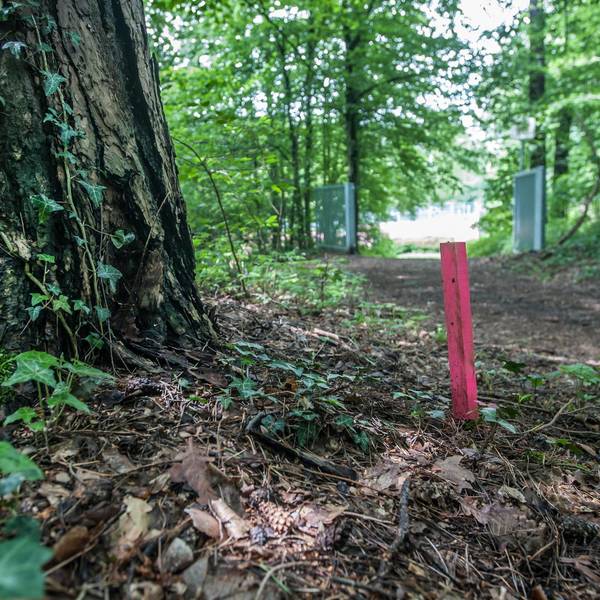 leverkusen-gasleitung--ALF_8462