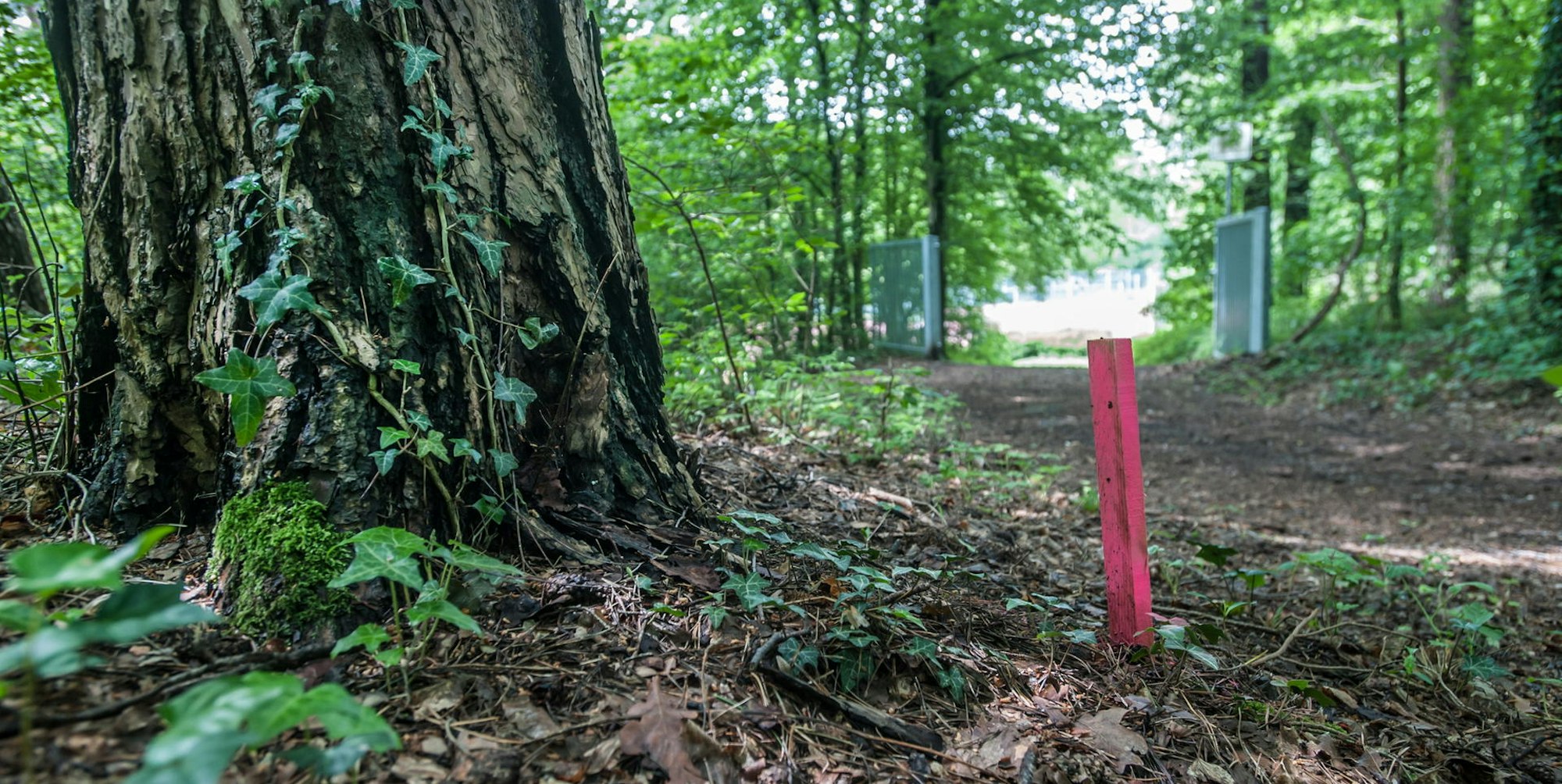 leverkusen-gasleitung--ALF_8462