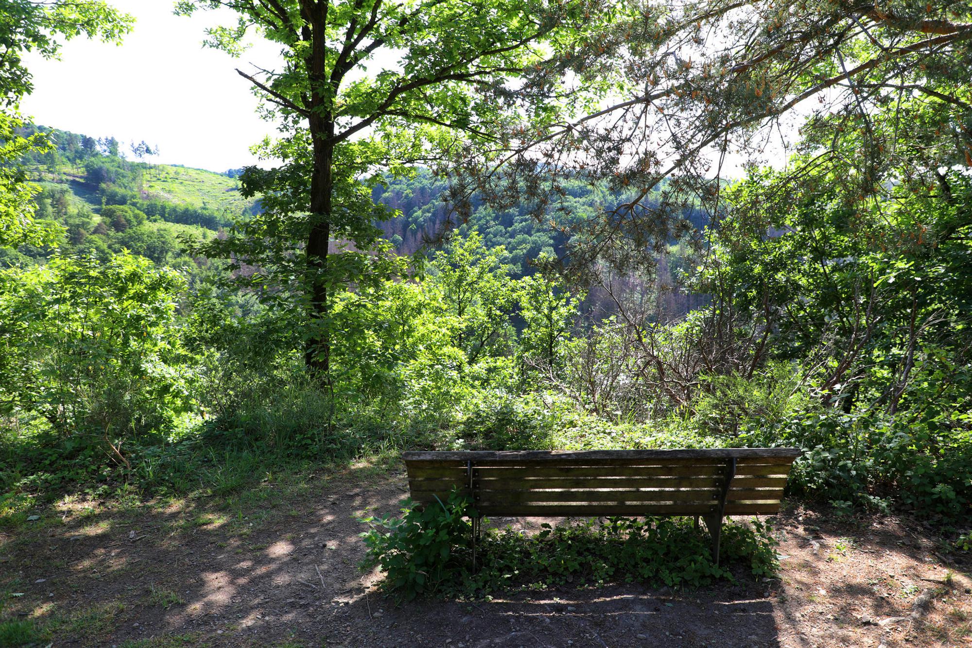 wandertag sieg bank