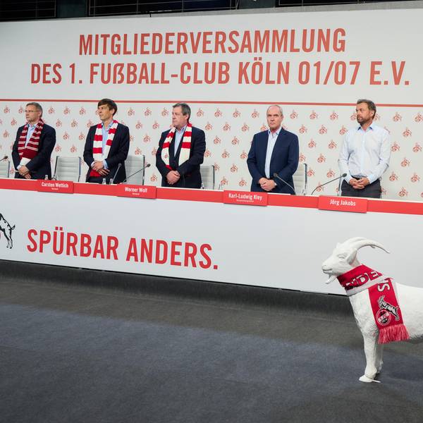 Neuer Inhalt (3)
