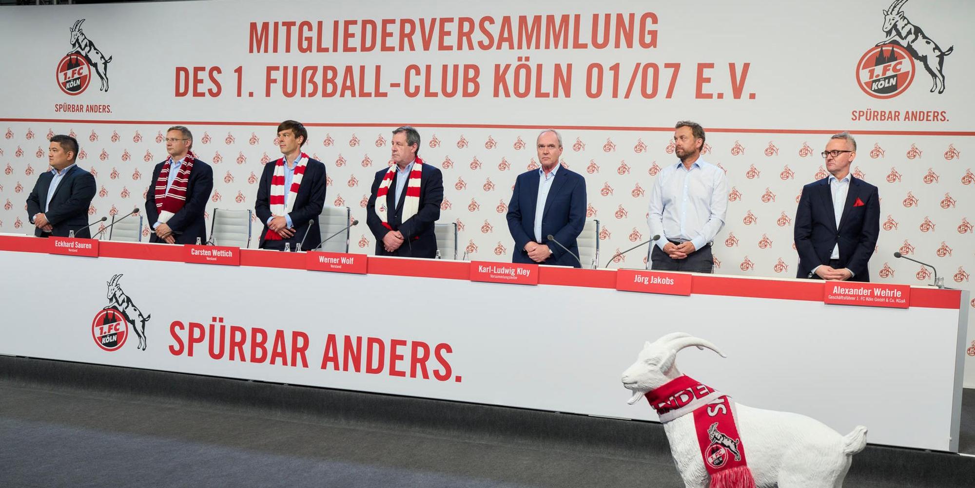 Neuer Inhalt (3)