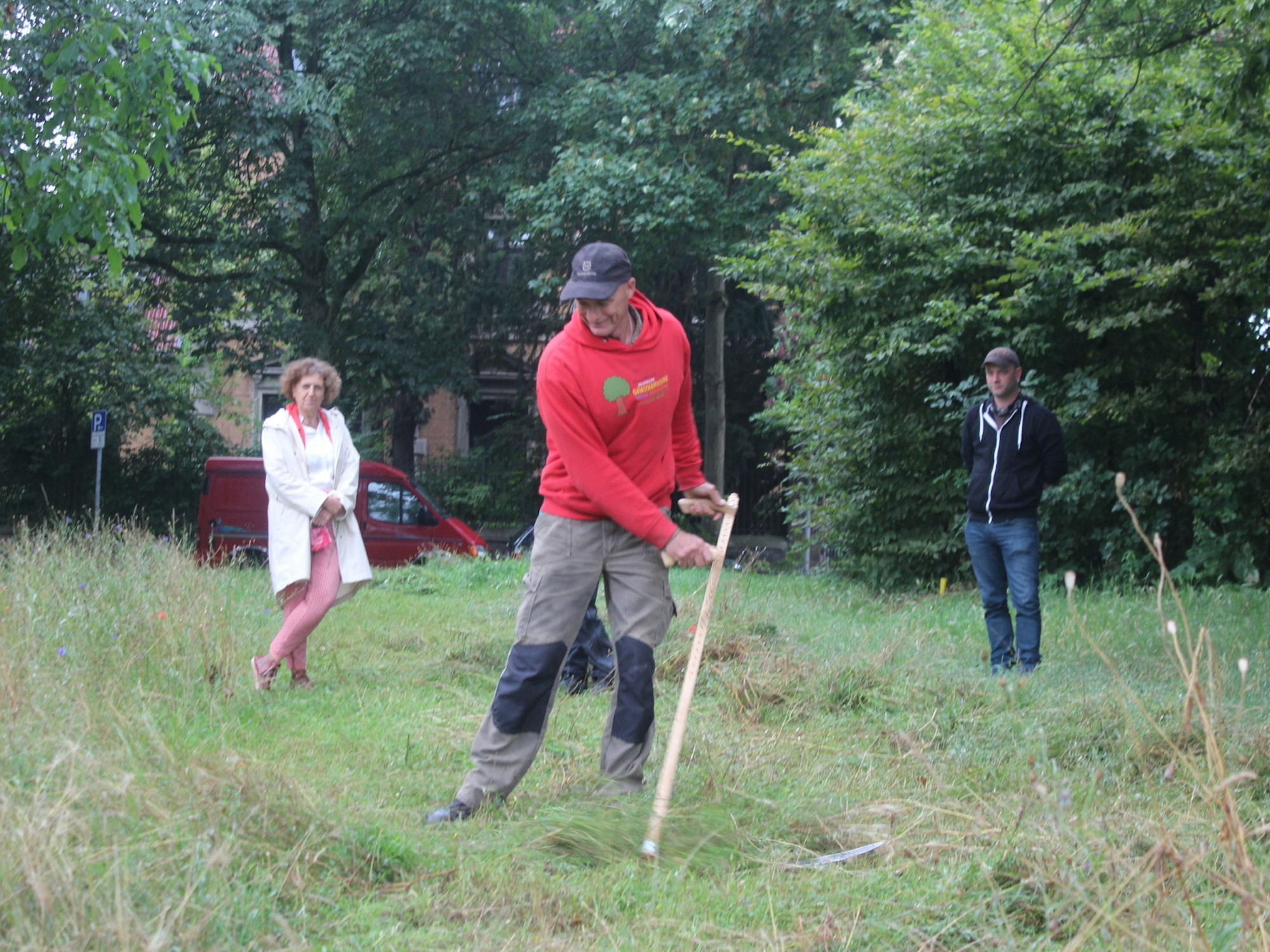 bes-bueze-blumenwiese06