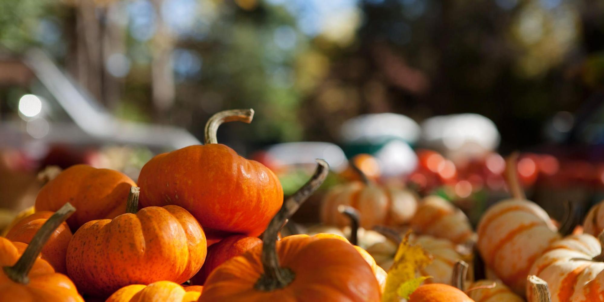HerbstsymbolKuerbisseGettyImages_ImageSource-114854167