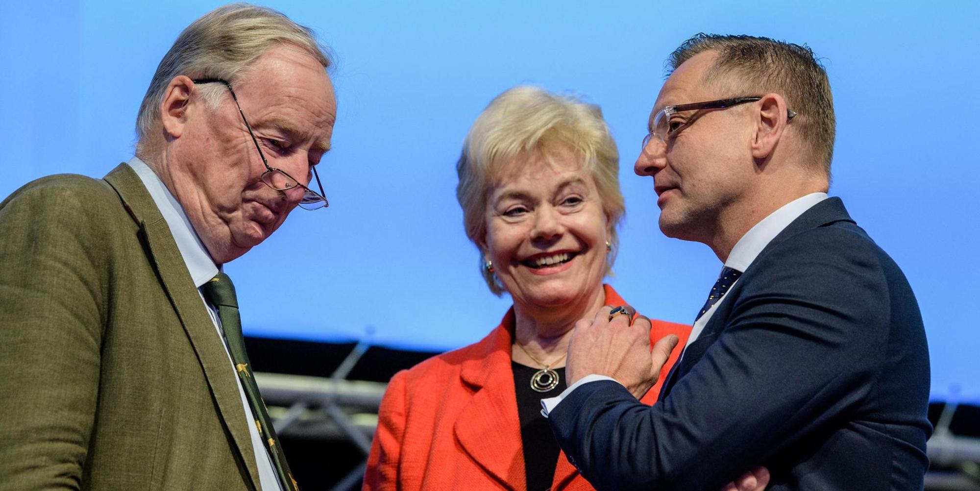 Steinbach AfD