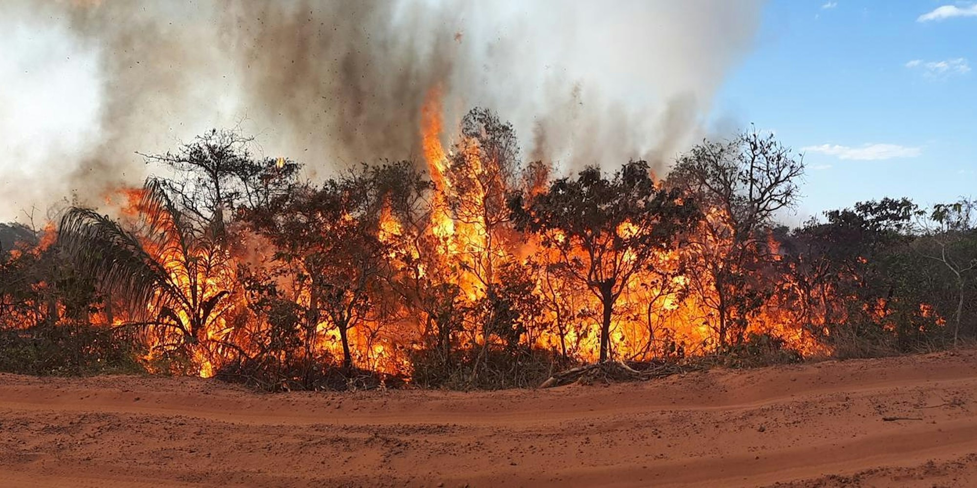 waldbrand braislien_b