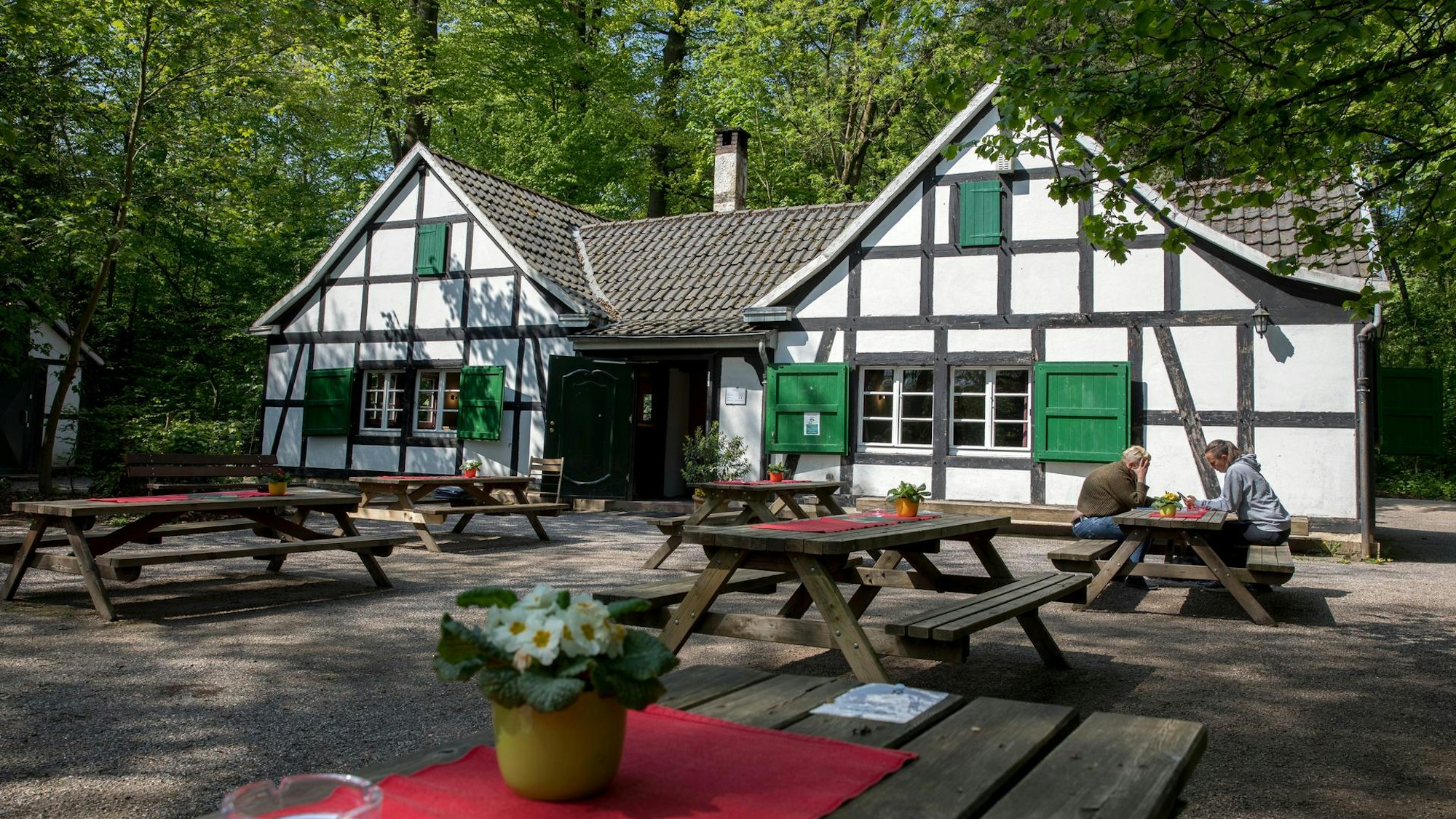 Fachwerkhaus mit im Wald