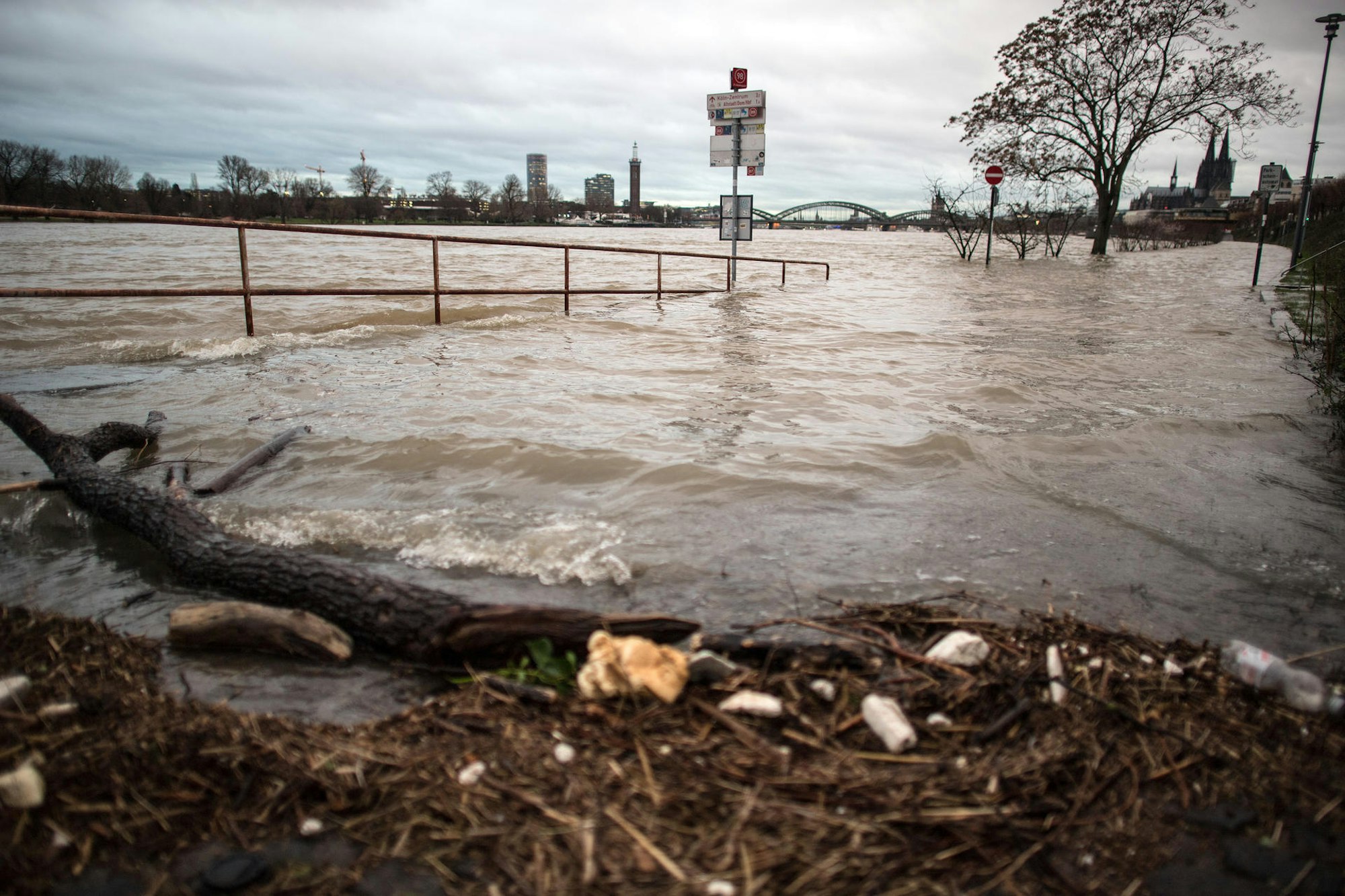 Hochwasser Rhein dpa
