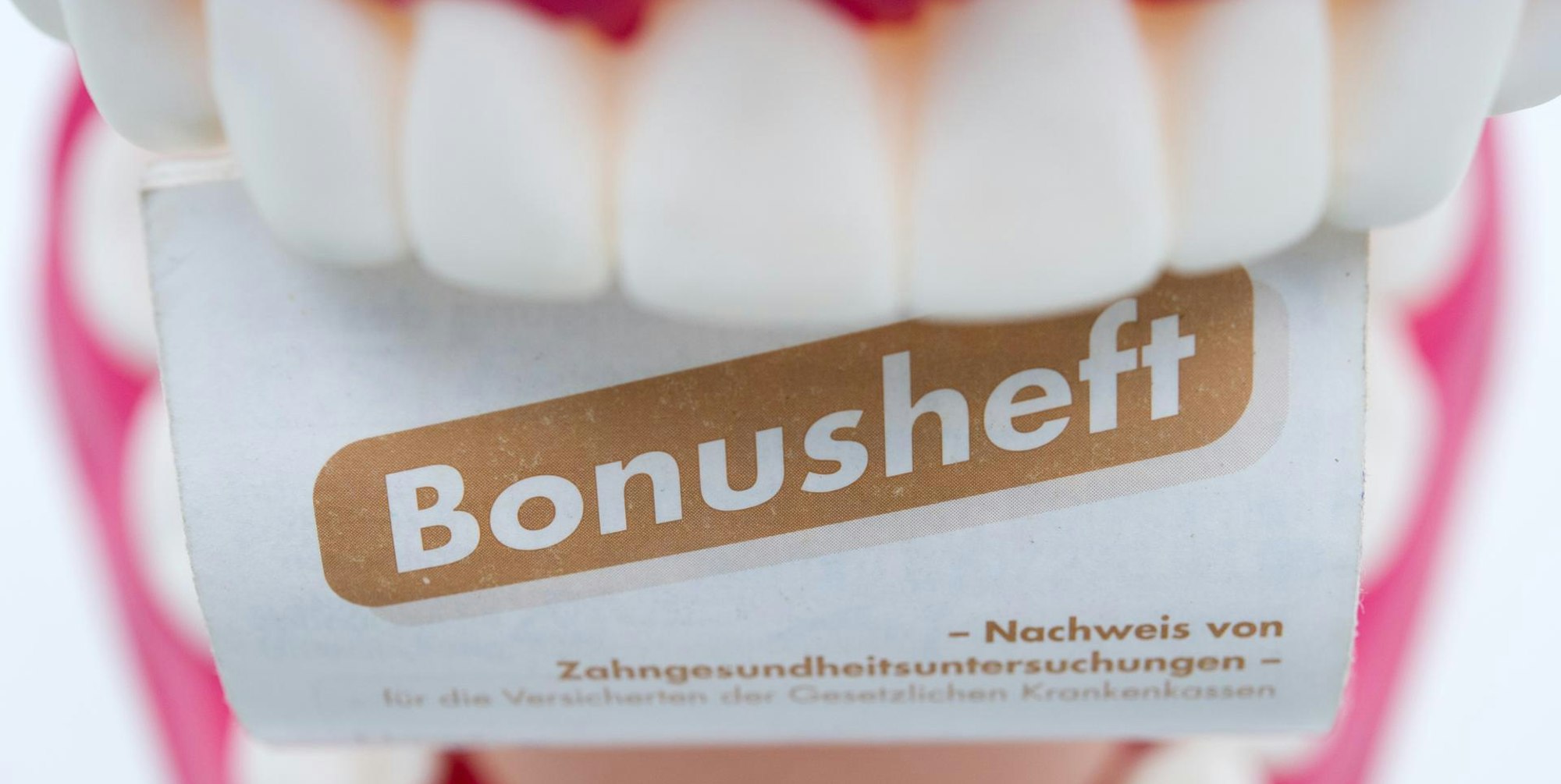 Neuer Inhalt