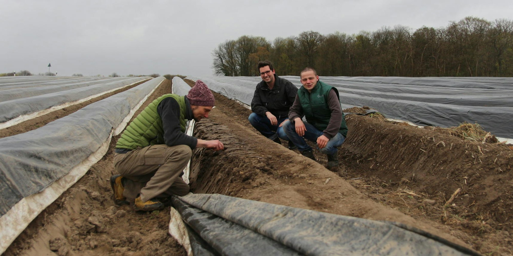 Erntehelfer-Spargel,_Pu-Orr_580-001