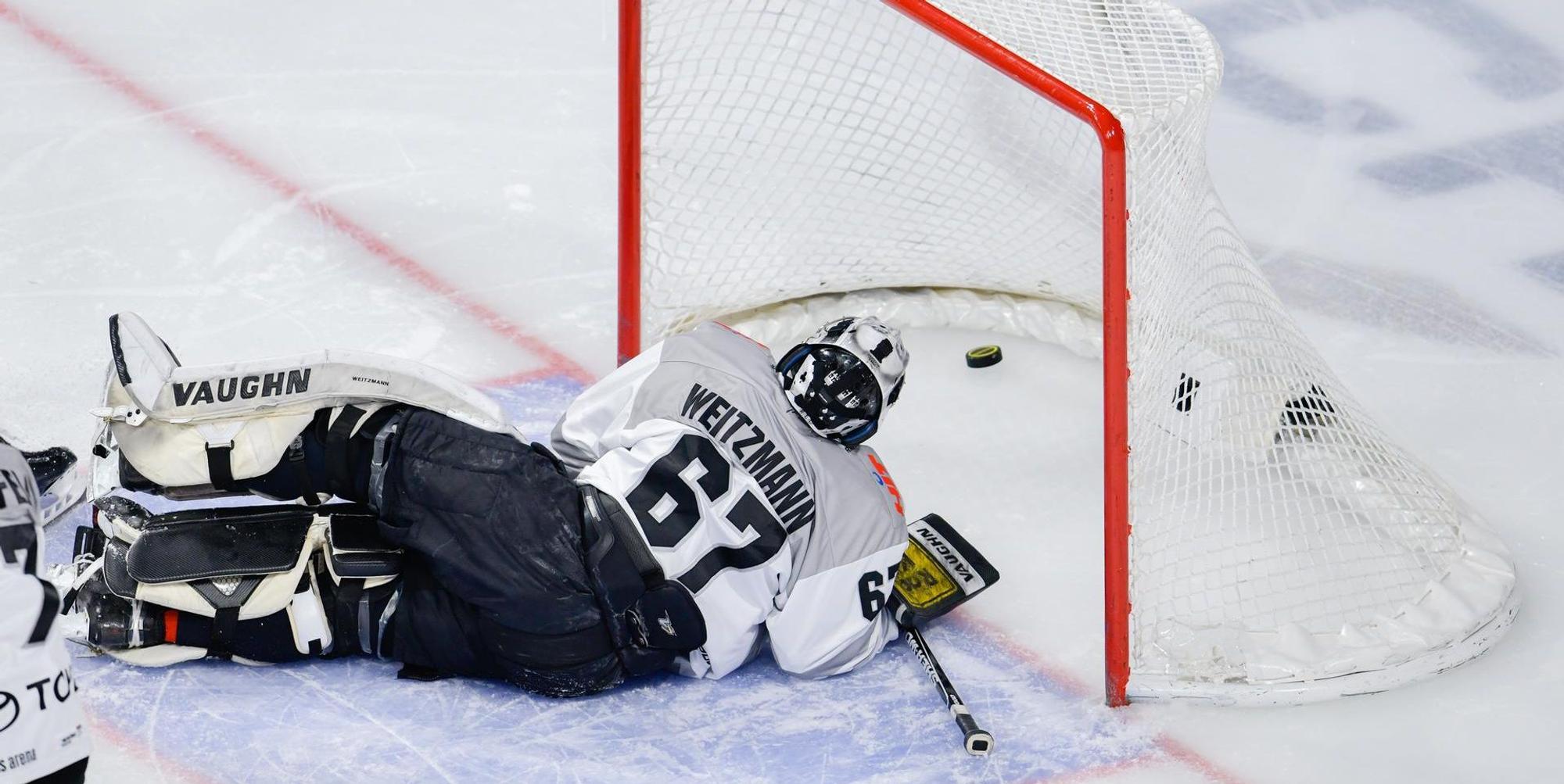 Haie Torwart 020419
