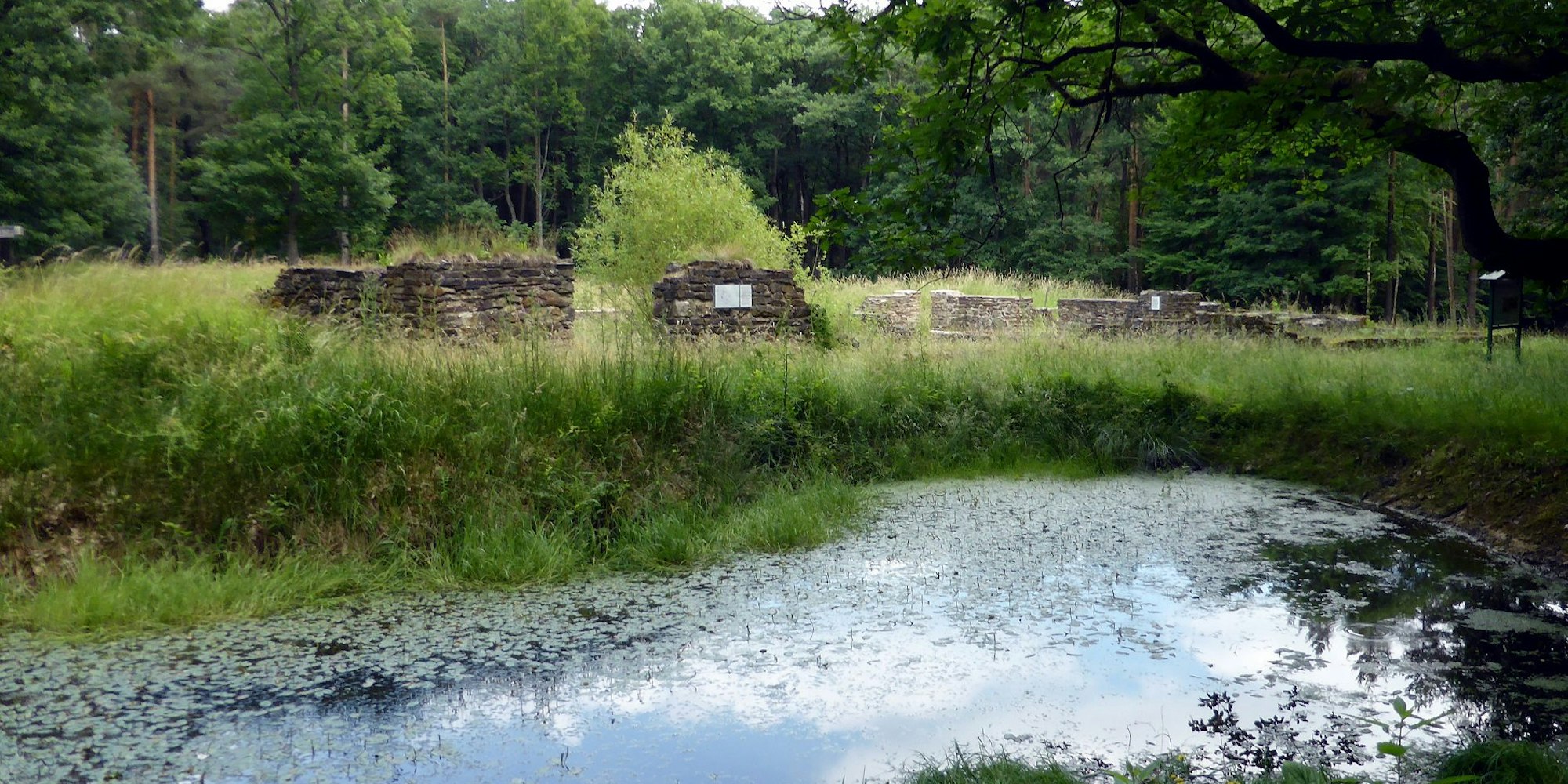 MDS-KR-2018-07-07-71-134590806