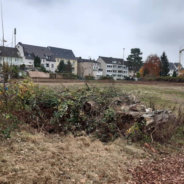 Alter_Sportplatz_Siegburg