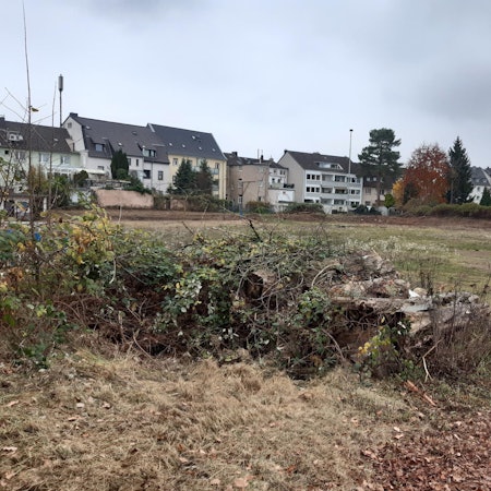 Alter_Sportplatz_Siegburg