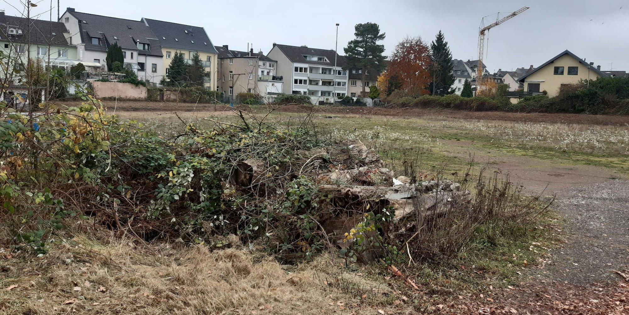 Alter_Sportplatz_Siegburg