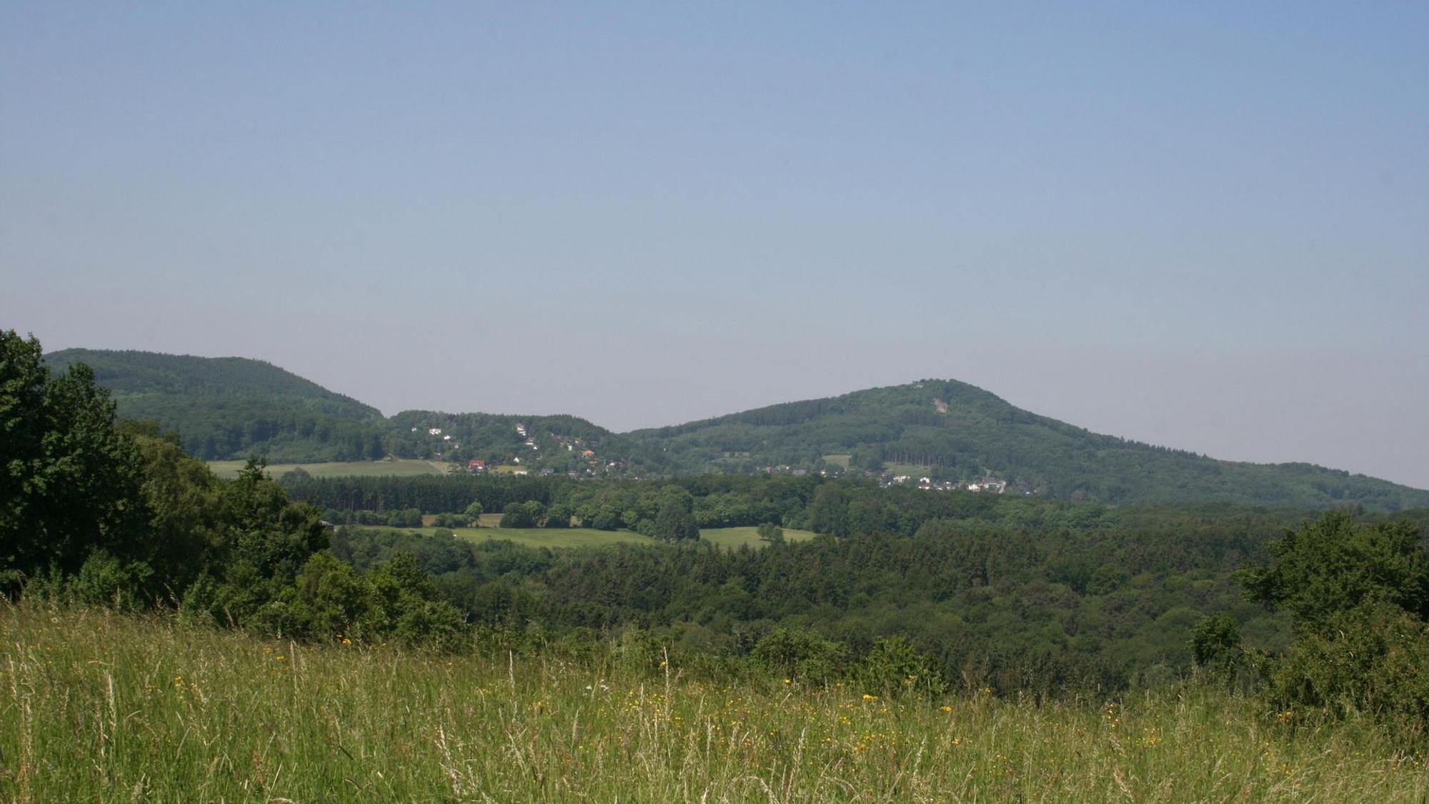 Auf dem Bild ist eine Wiese und Berge zu sehen.