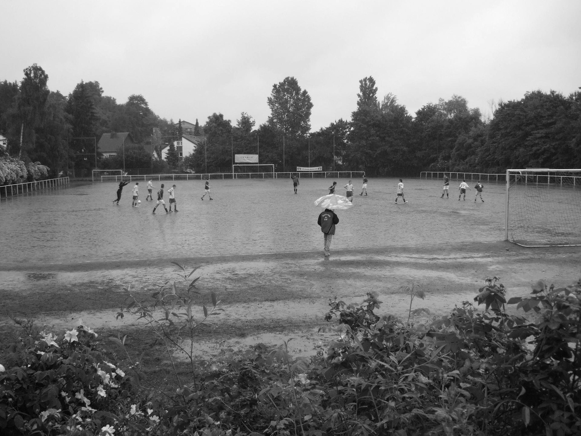 Neuer Inhalt (1)