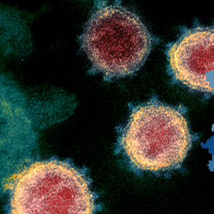 header-corona-karte-aktuell