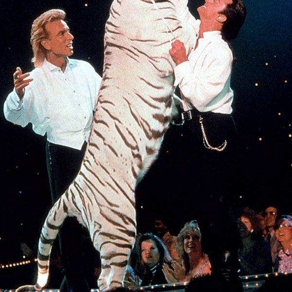 Siegfried Roy Tieger neu