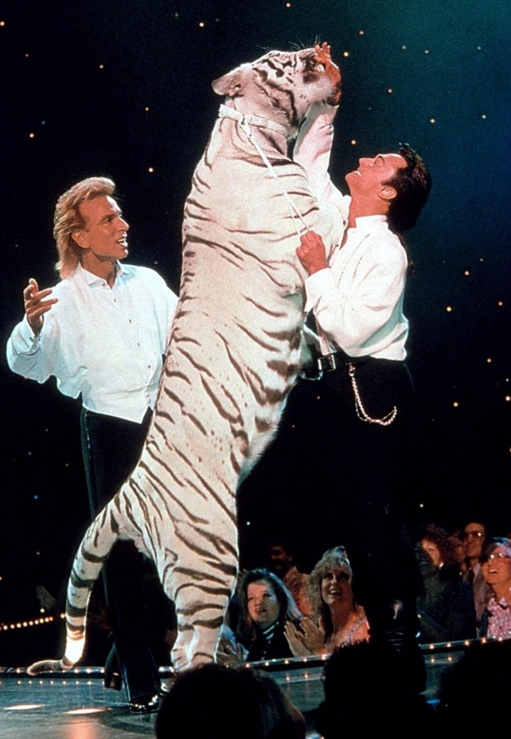 Siegfried Roy Tieger neu