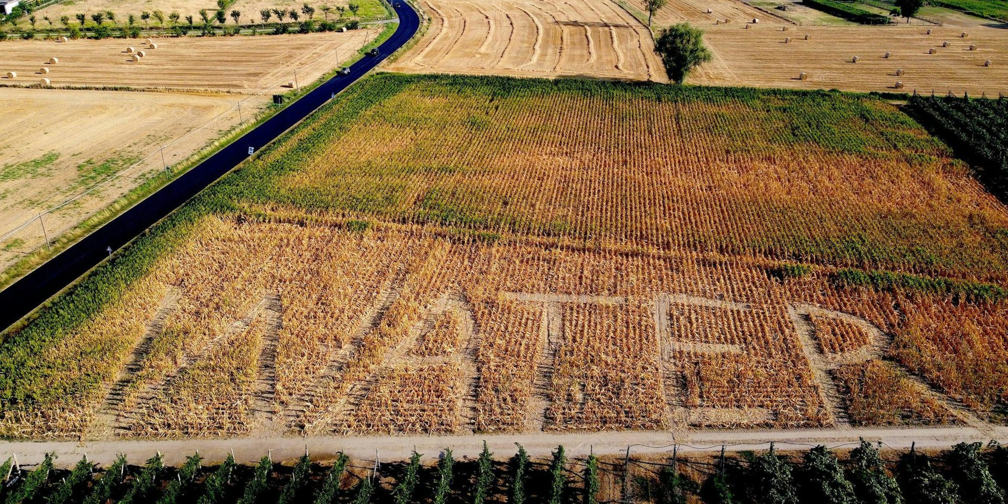 Dürre Water dpa 060722