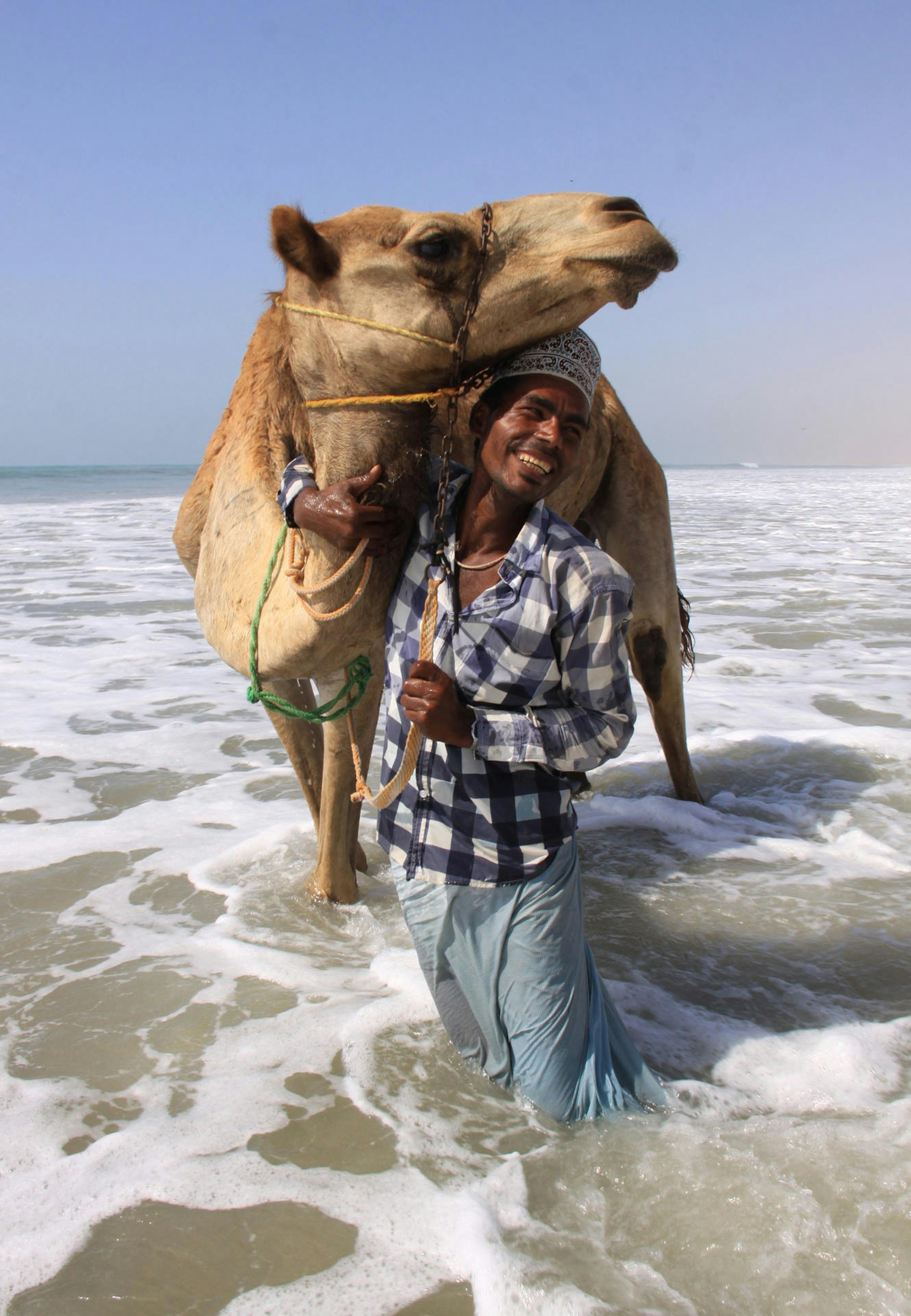 Kameltrekking im Oman dpa